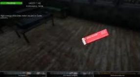 Custom storage and food item props for BrienZ